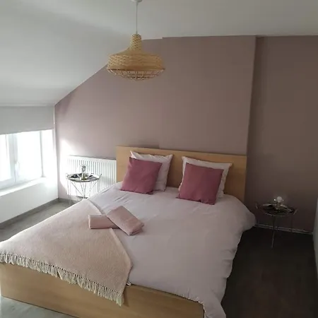 Duplex 6p Pres Du Centre Ville * Liège